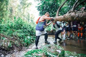 BIB: 
                            <button type="button" onclick="openModal(25473356)" class="btn btn-primary btn-sm float-right btn-popup" data-toggle="modal" data-target=".modal-high-quality">
                        <i class="fas fa-shopping-cart"></i> Add to Cart
                    </button>
                                            <button type="button" onclick="isThisMe(25473356, true)" class="btn btn-success btn-sm float-right btn-popup btn-isme hidden" data-toggle="tooltip" data-placement="bottom" title="นี่คือรูปของคุณใช่ไหม คลิกที่นี่เพื่อเอาเข้าอัลบั้ม">
                        <i class="fas fa-plus"></i> Add to album
                    </button>
                    <button type="button" onclick="isThisMe(25473356, false)" class="btn btn-warning btn-sm float-right btn-popup btn-isnotme hidden">
                        <i class="fas fa-ban"></i> Remove from album
                    </button>